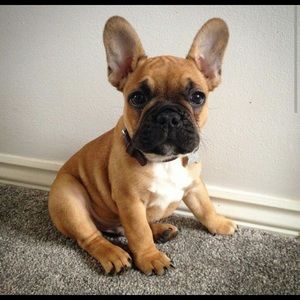 Meet your Posher, Daniela